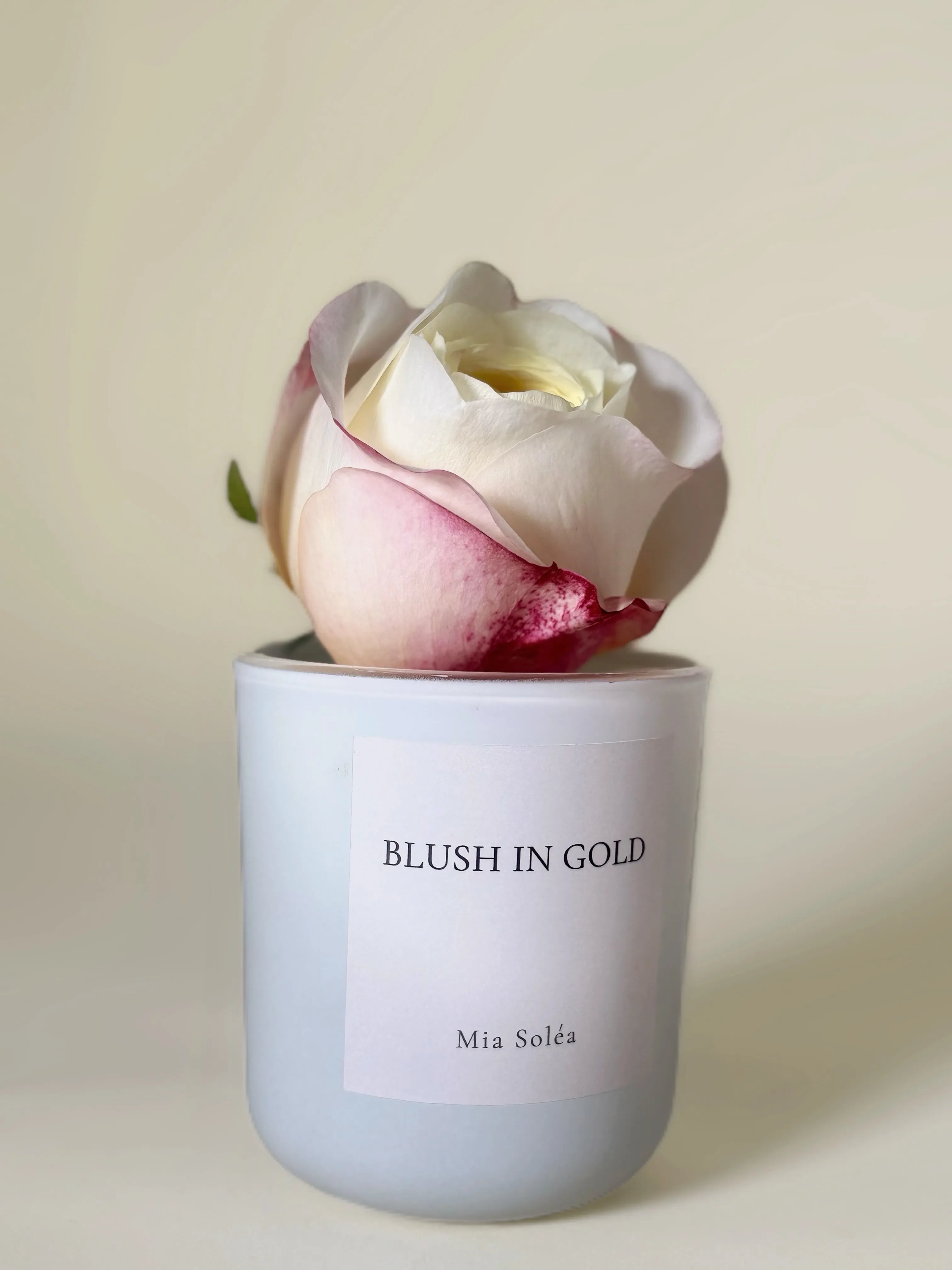 Blush in Gold