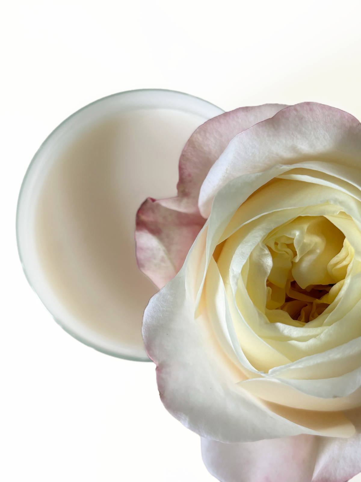 Draufsicht auf die Mia Soléa Duftkerze Blush in Gold mit dekorativer Blüte – handgefertigte Duftkerze mit parfum-inspiriertem Duft