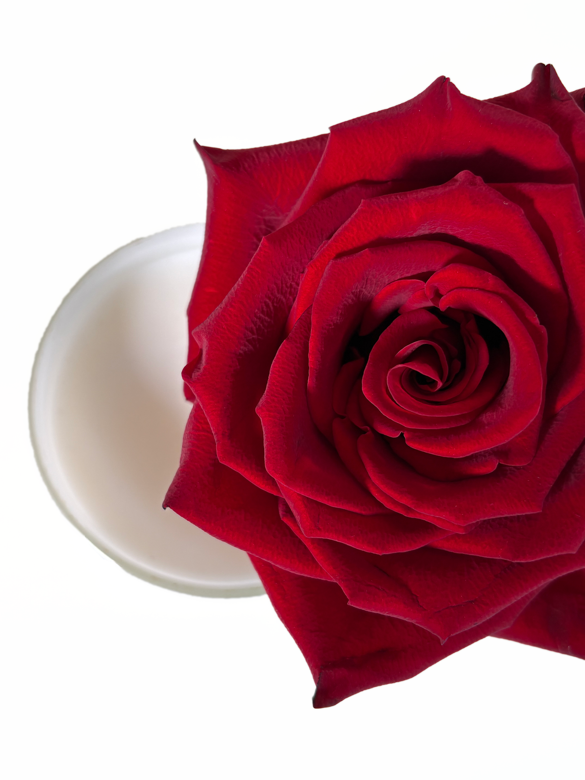Draufsicht auf die Mia Soléa Duftkerze Midnight Rose Reverie mit dekorativer Blüte – handgefertigte Duftkerze mit intensivem, parfum-inspiriertem Duft