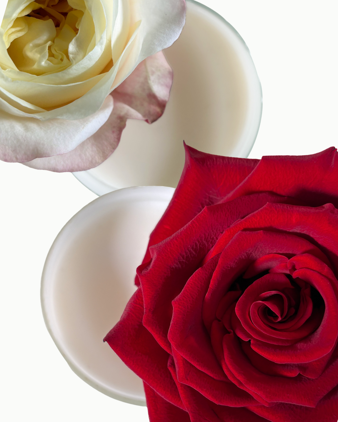 Draufsicht auf das Mia Soléa Signature Set mit den Duftkerzen Blush in Gold und Midnight Rose Reverie, inszeniert mit heller und dunkelroter Rose – zwei parfum-inspirierte, handgefertigte Duftkerzen im Set.