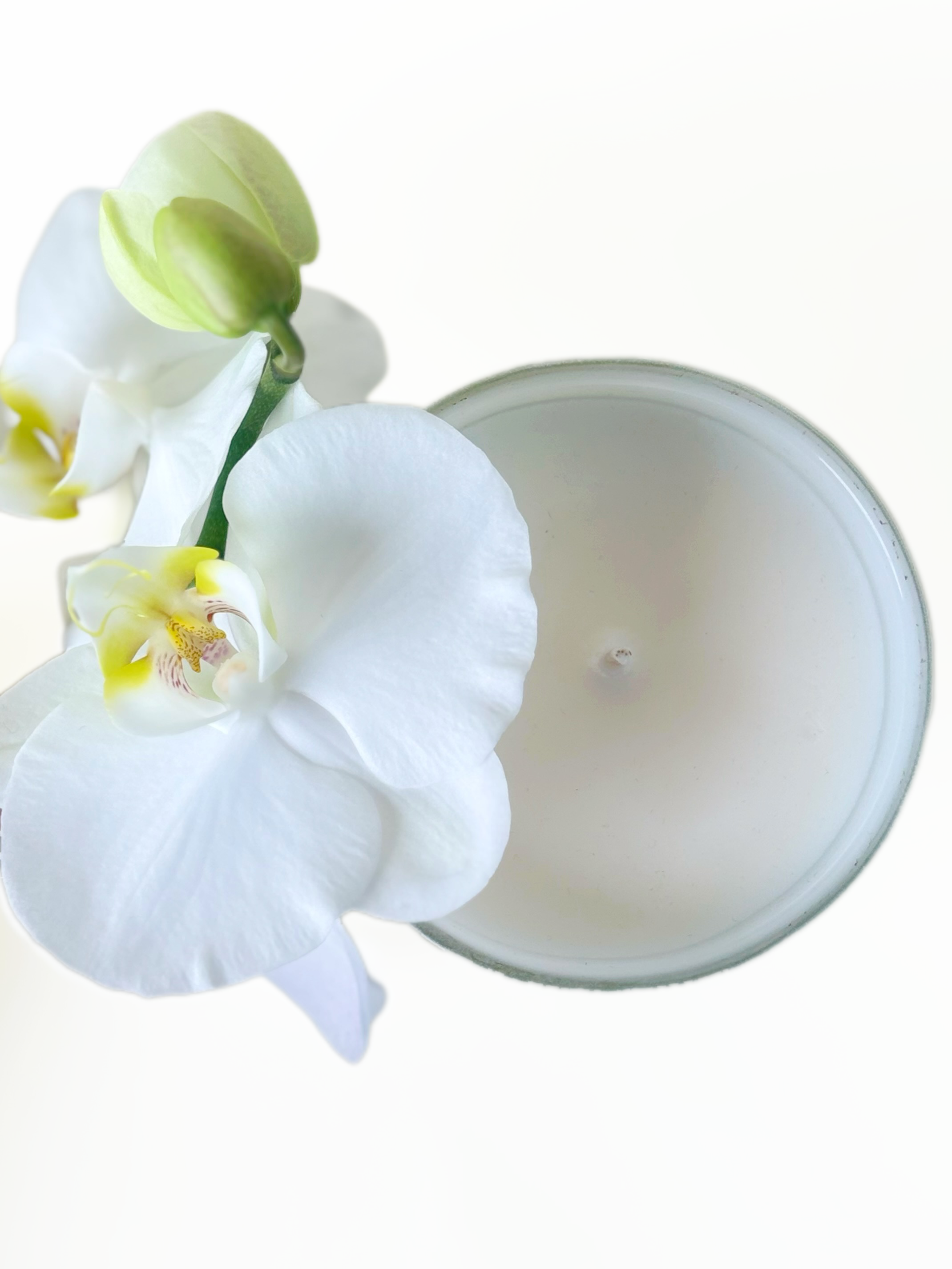 Draufsicht auf die Mia Soléa Duftkerze Sweet Obsession mit dekorativer Blüte – handgefertigte Premium-Duftkerze von Mia Soléa