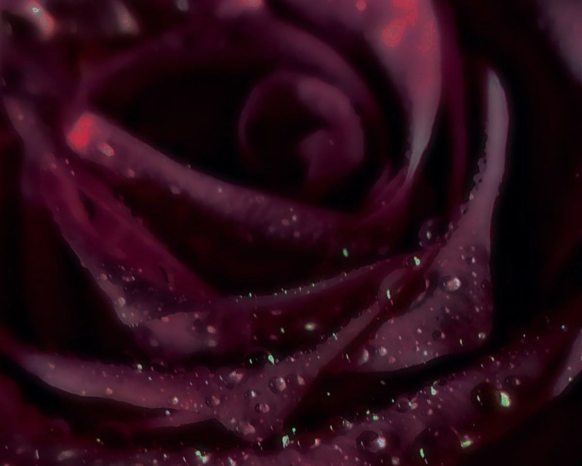 Nahaufnahme der Duftkerze Midnight Rose Reverie mit hochwertigem Kerzenglas.